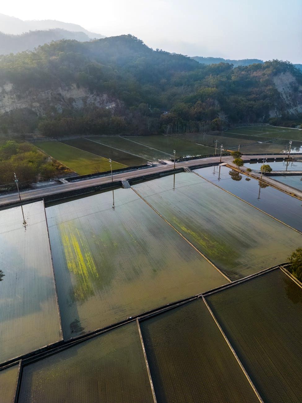 Contour Farming Aerial View